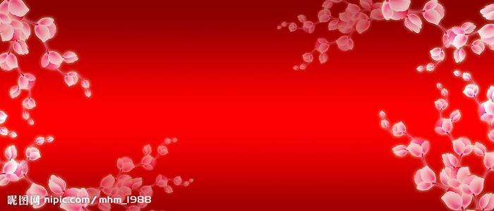 迪吉彭理工学院学士证书